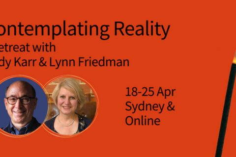 Contemplating Reality